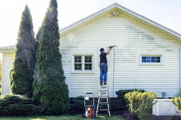Best Driveway Pressure Washing  in Maysville, MO