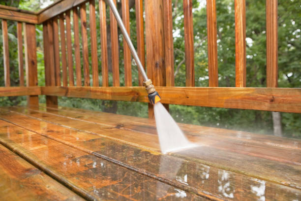 Best Sidewalk and Walkway Cleaning  in Maysville, MO